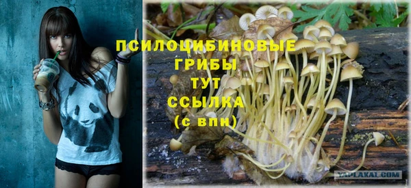 амф Слюдянка