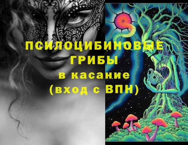 стафф Верея