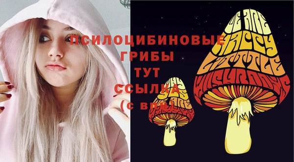 синтетический гашиш Снежинск