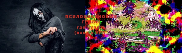 дурь Верхний Тагил
