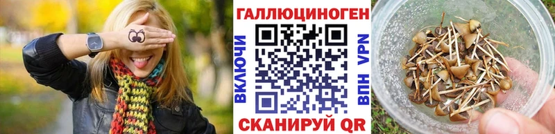 Галлюциногенные грибы мухоморы  что такое   Лобня 